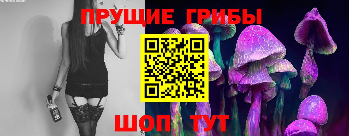 Галлюциногенные грибы MAGIC MUSHROOMS Тверь